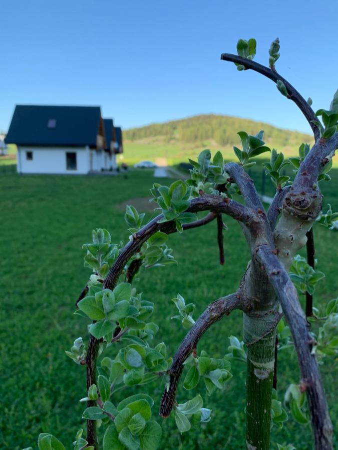 Domki Horizon - Dobre Miejsce Niedzica Exterior foto
