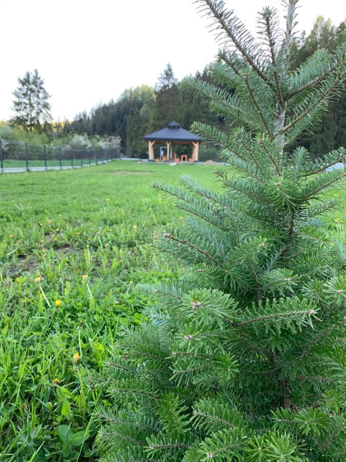 Domki Horizon - Dobre Miejsce Niedzica Exterior foto