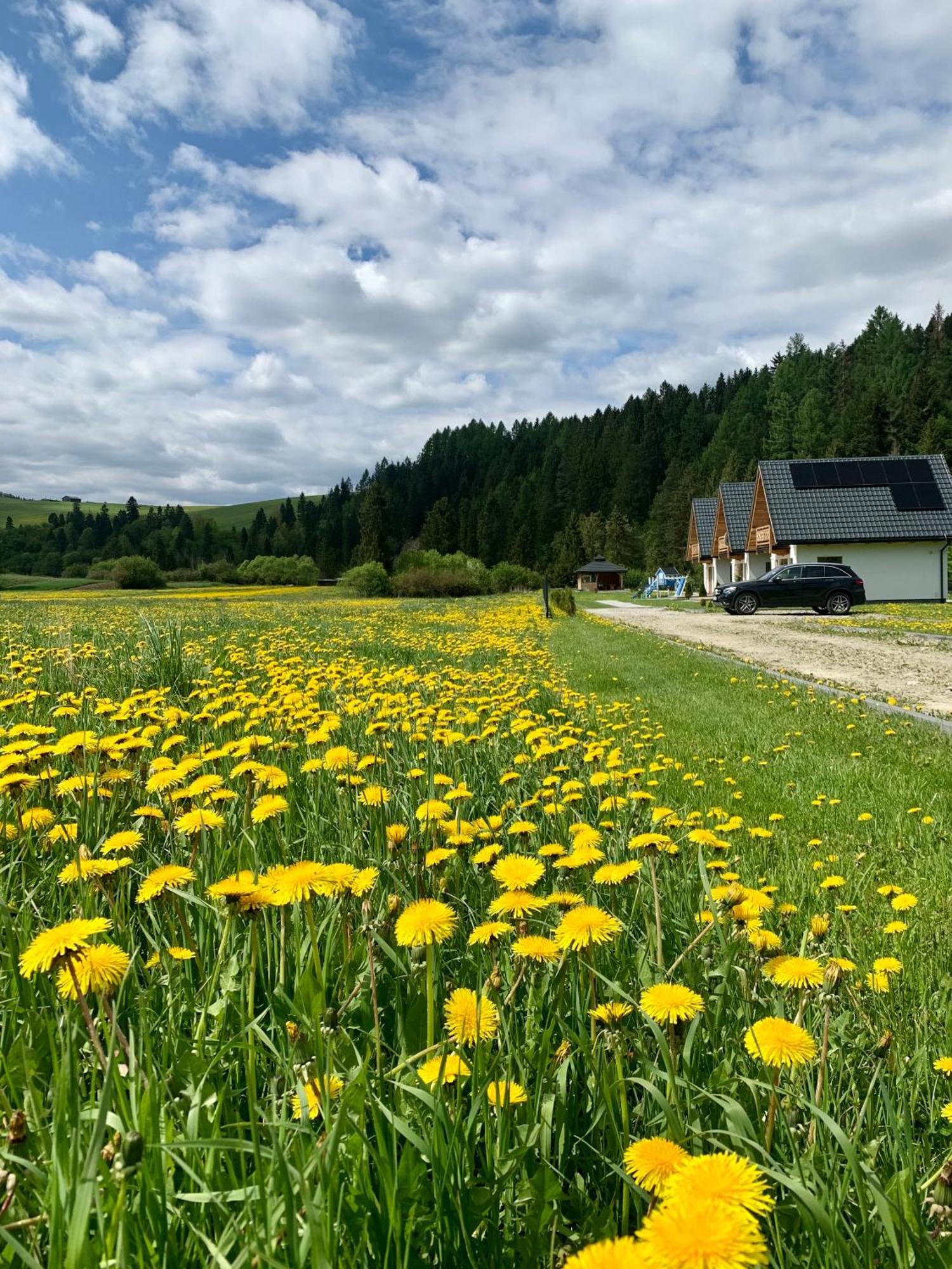 Domki Horizon - Dobre Miejsce Niedzica Exterior foto