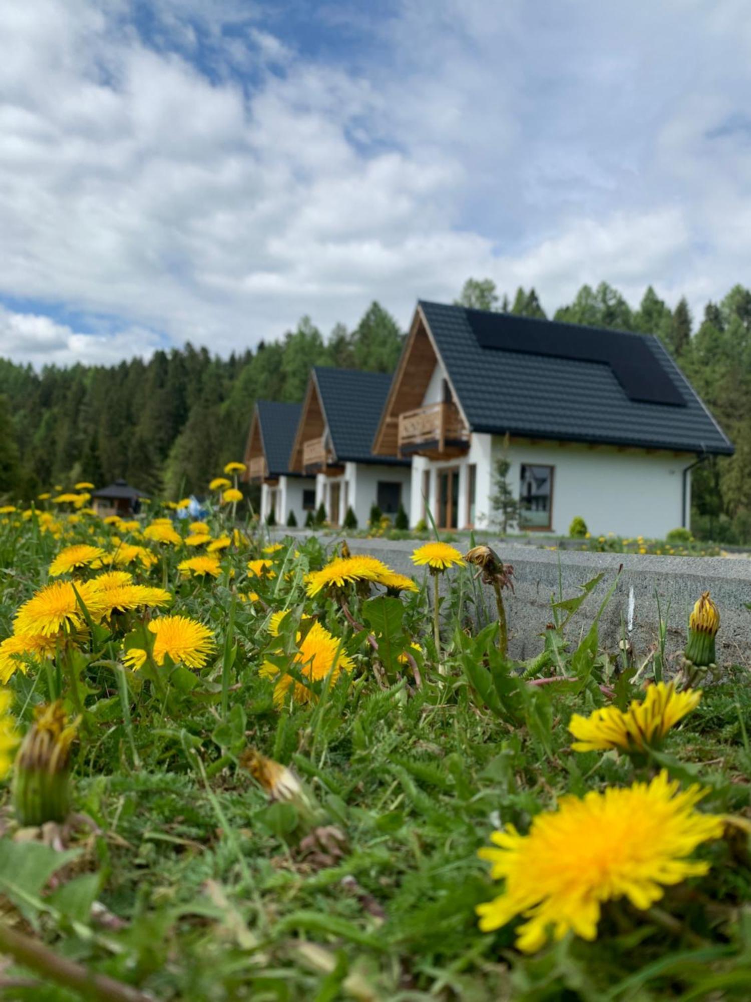 Domki Horizon - Dobre Miejsce Niedzica Exterior foto