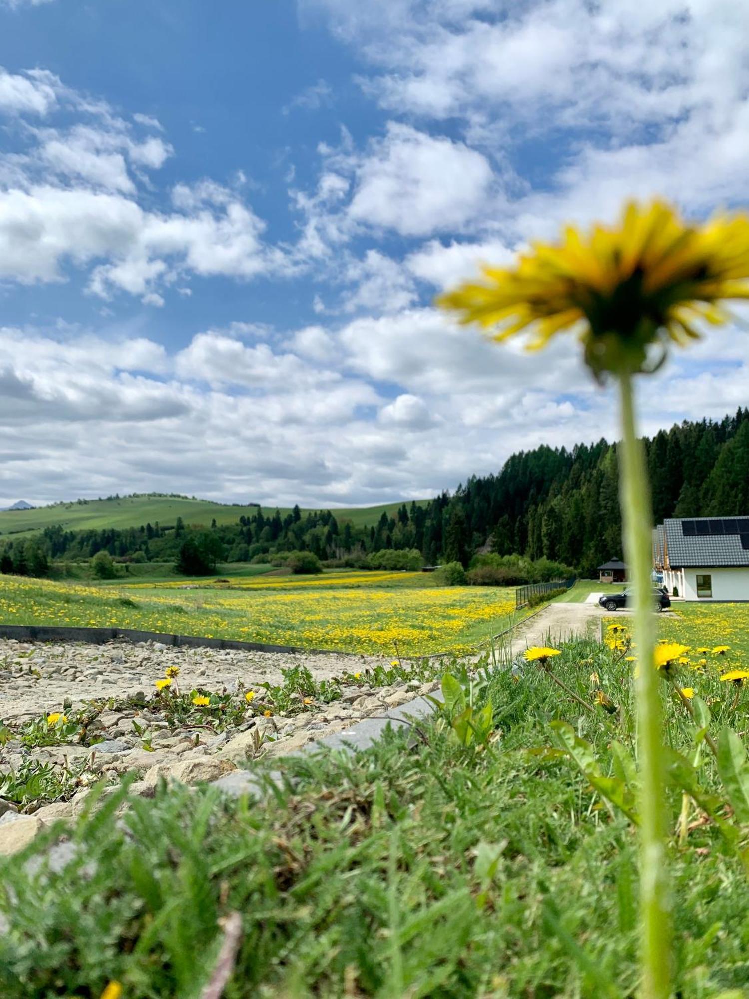 Domki Horizon - Dobre Miejsce Niedzica Exterior foto